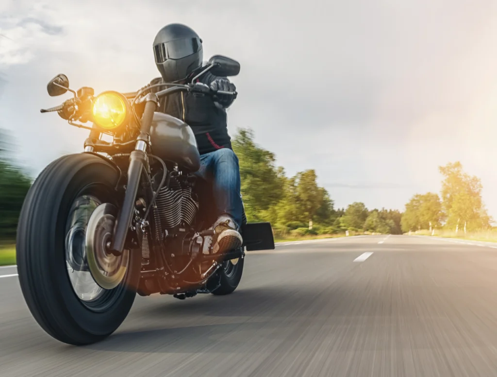 bike rental wildfloc