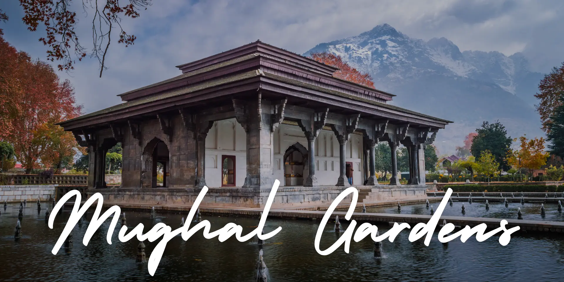 Things to do in Kashmir Wildfloc