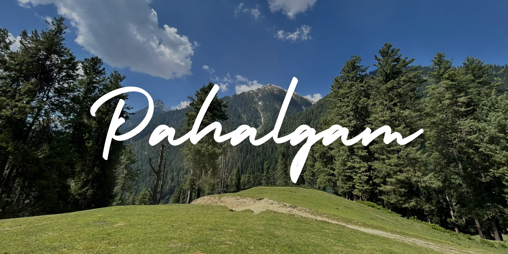 Pahalgam Wildfloc