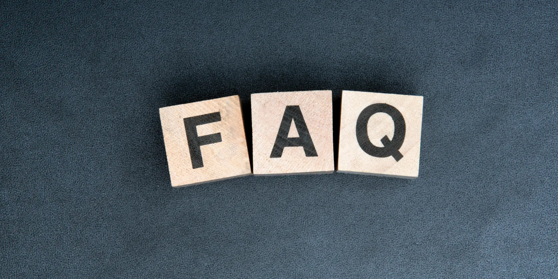 FAQ Tulip Garden Kashmir