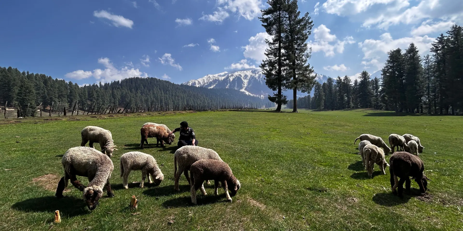 Aharbal to Kongwattan Trek