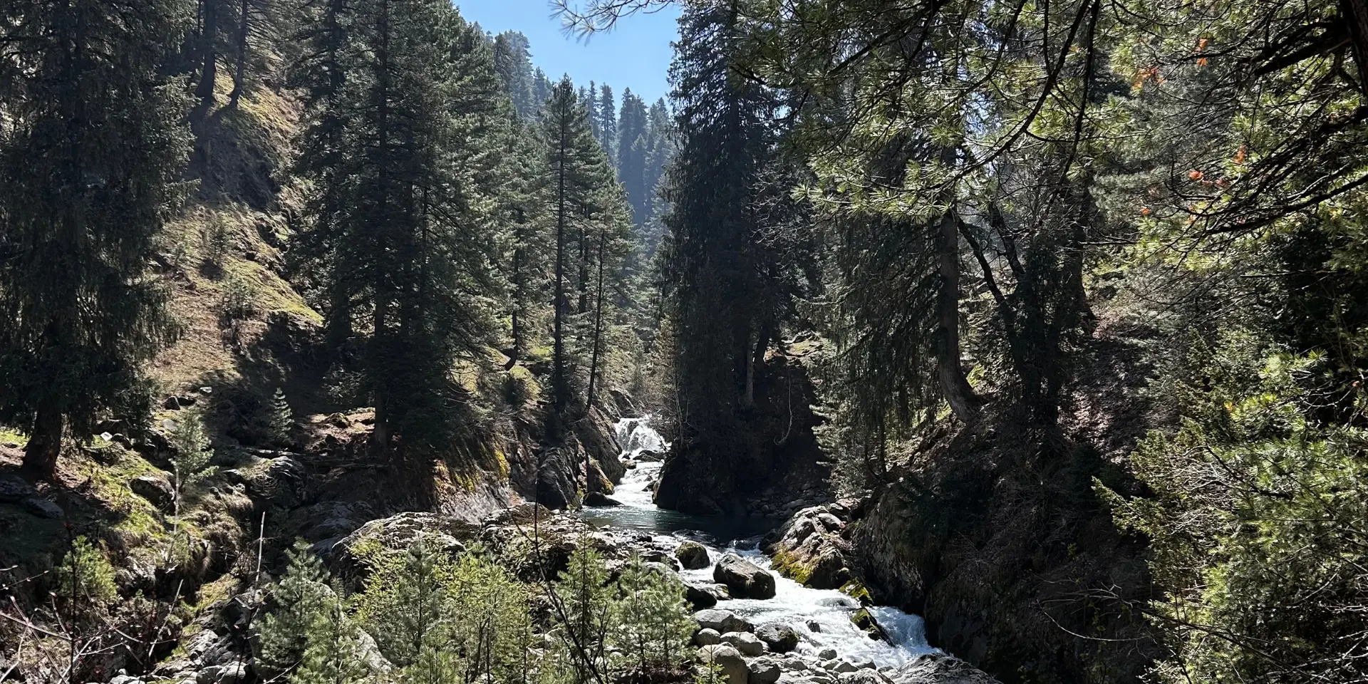 Aharbal to Kongwattan Trek