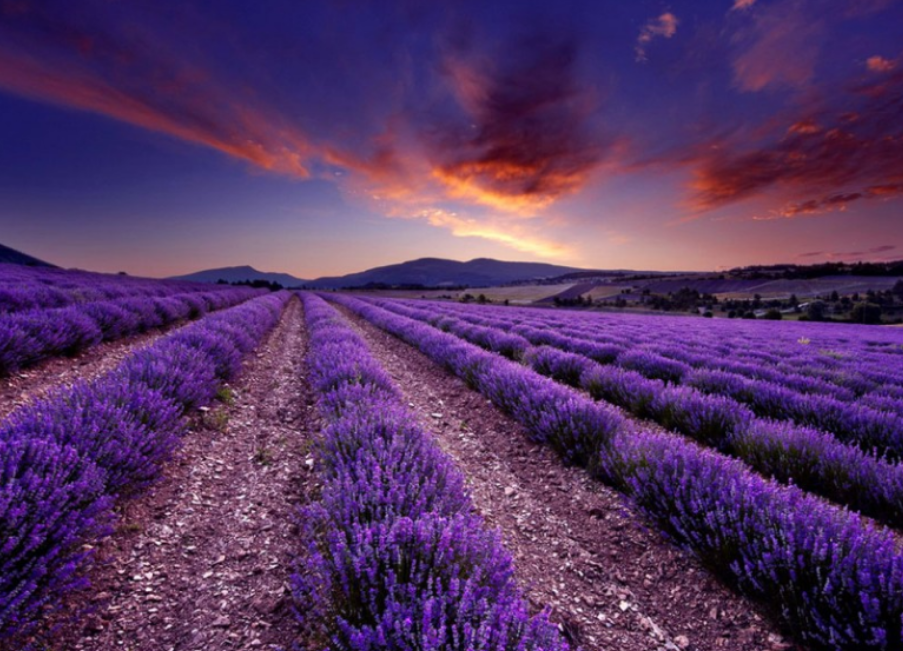 Things to do in kashmir