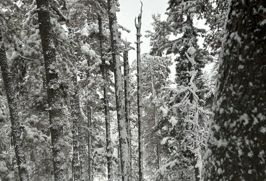 Special Offbeat honeymoon special package