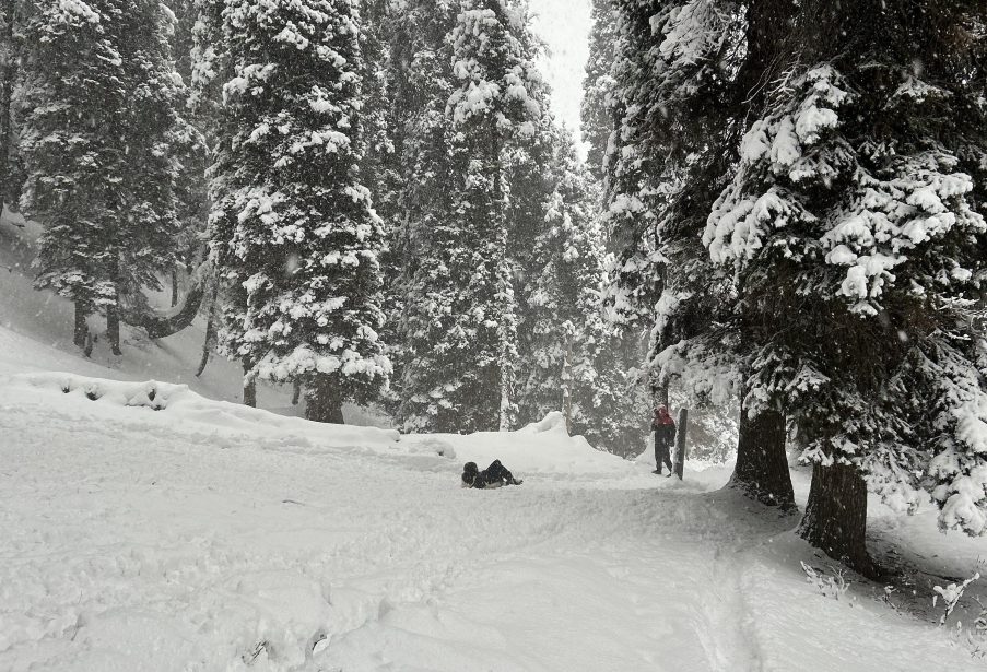 Snow trek in Kashmir