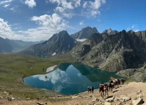 Kashmir Great Lakes Trek Wildfloc