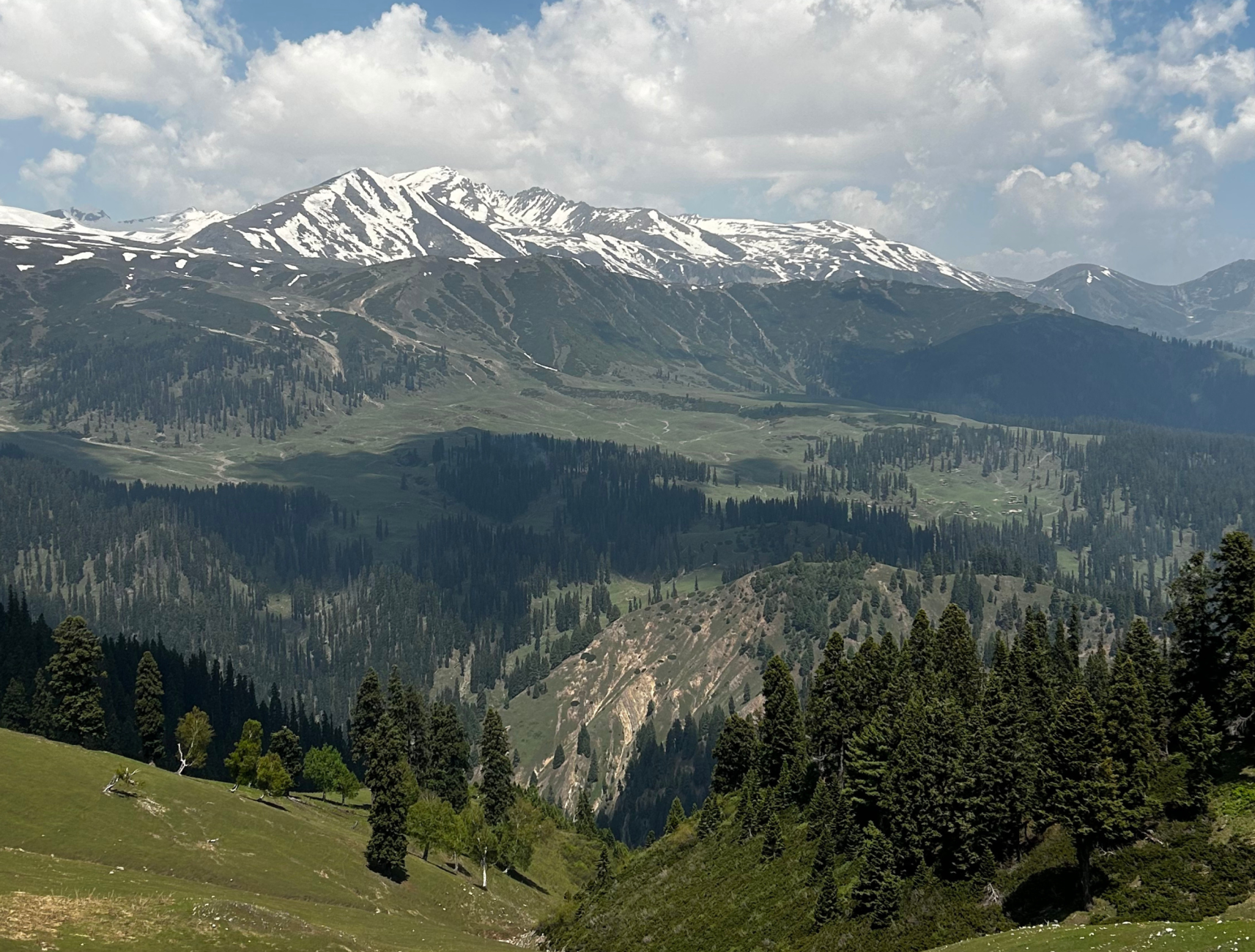 Wildfloc Chhanz Meadow