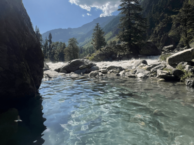 Wildfloc Dumail Trek