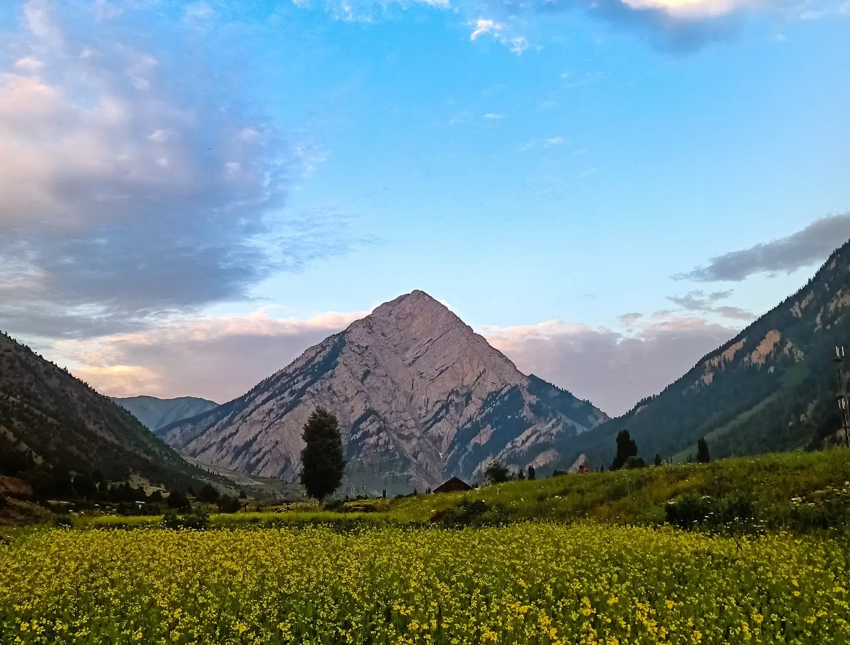 Wildfloc Gurez Valley Trek