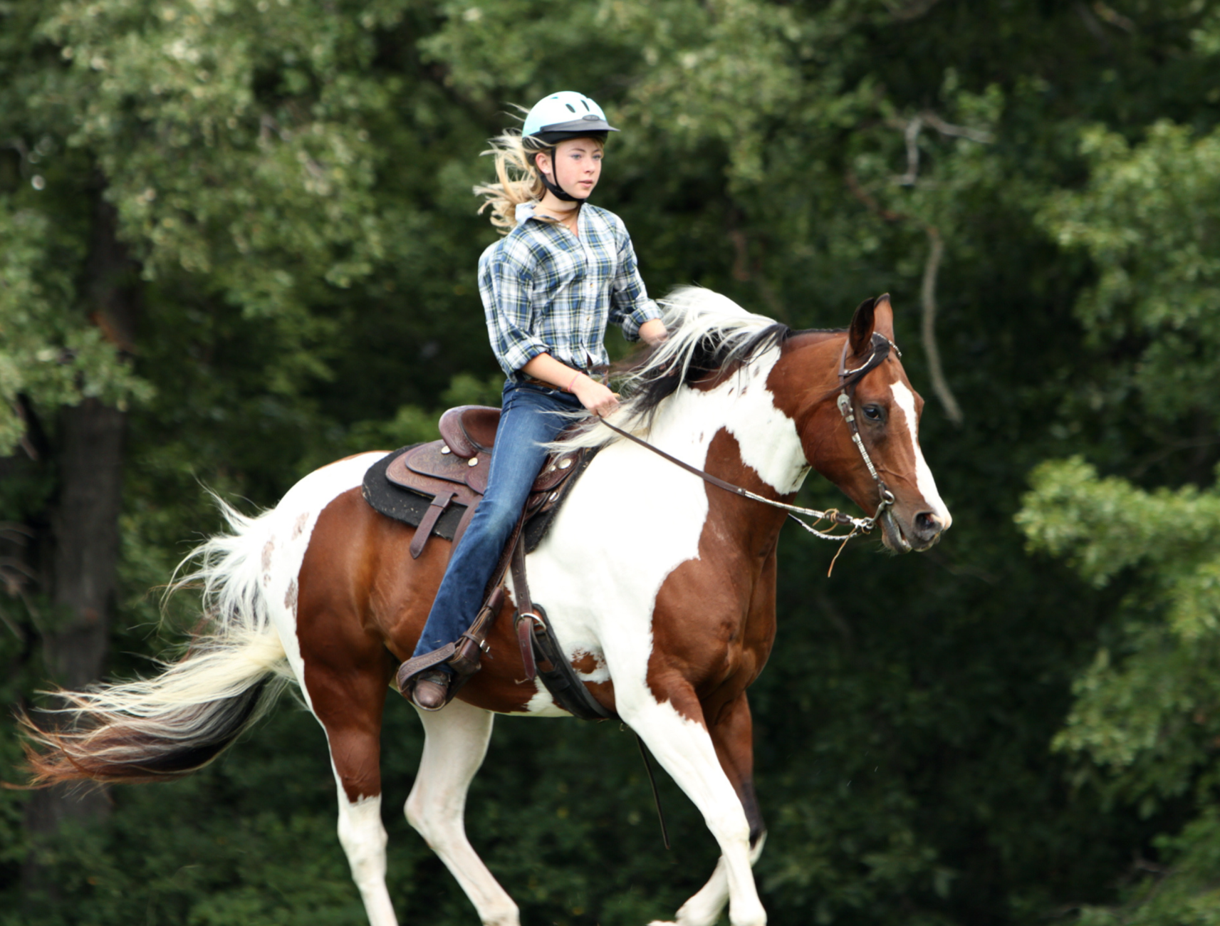 Wildfloc Horse Riding Course