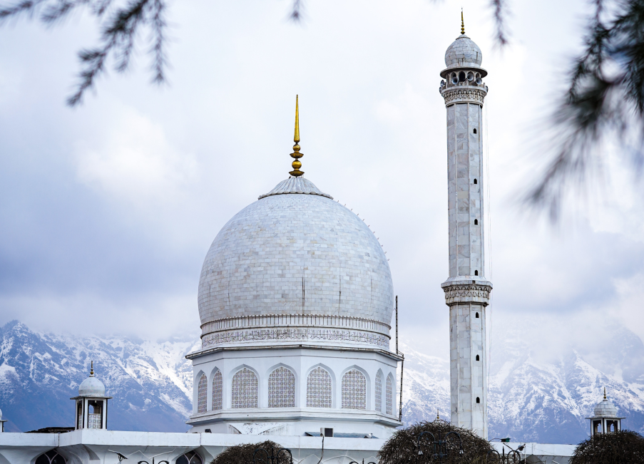 Wildfloc Kashmir Cultura Tour