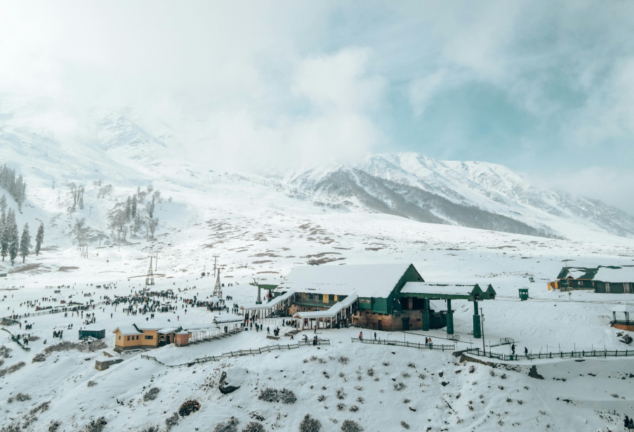 Wildfloc Kashmir Winter Tour