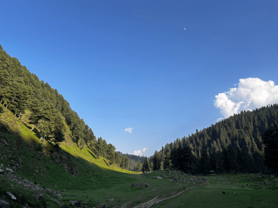 Wildfloc Kongwatan Meadow