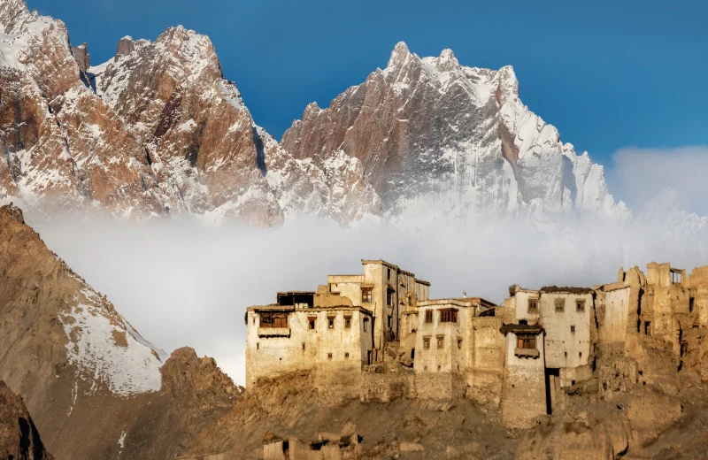 Wildfloc Ladakh Offbeat Tour Package (1)