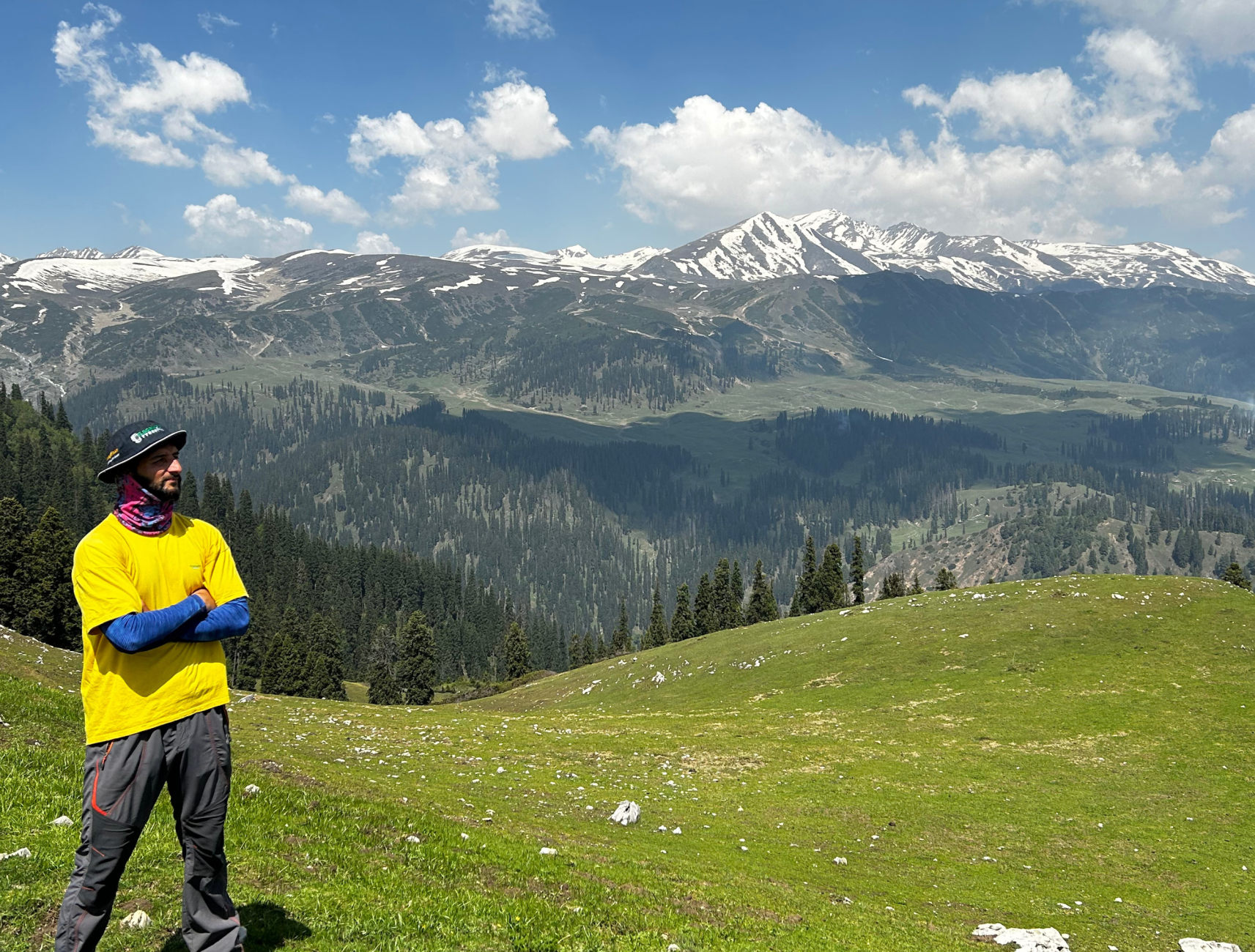 Wildfloc Lidhwas Meadow