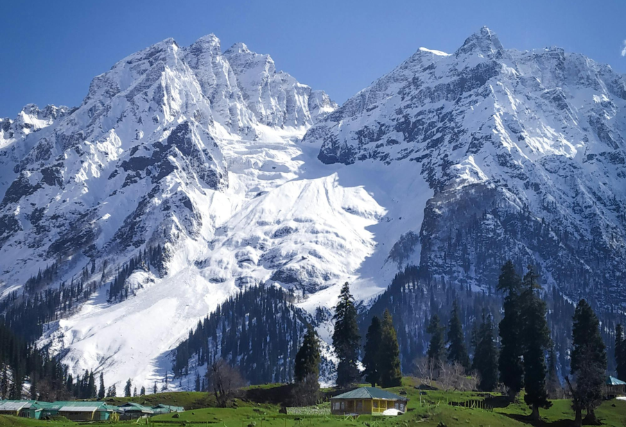 Wildfloc Luxury Kashmir Tour (1)