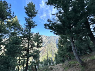 Wildfloc Mamneth Top