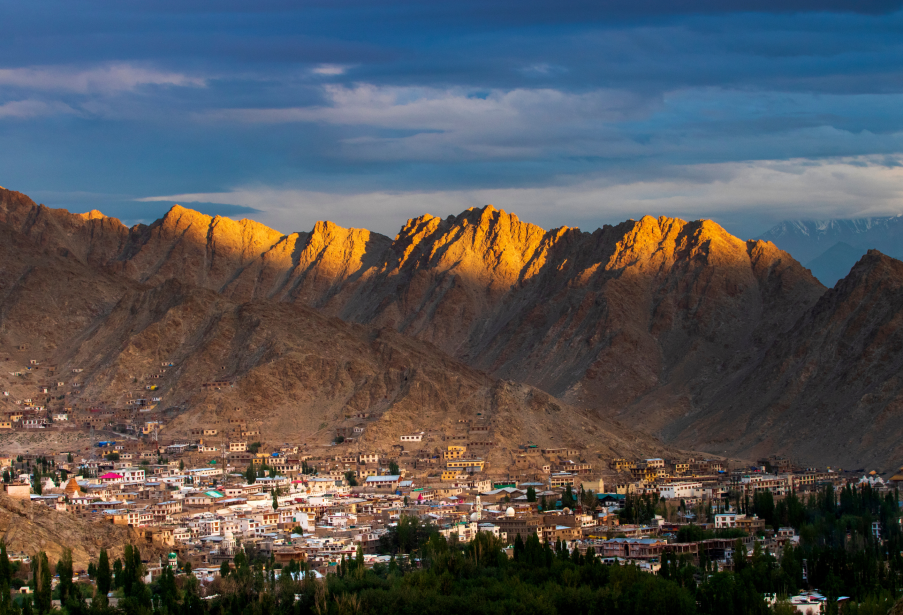 Wildfloc Offbeat Ladakh Tour