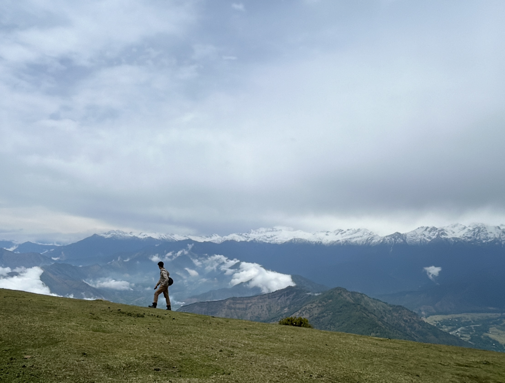 Wildfloc Wasturwan Top