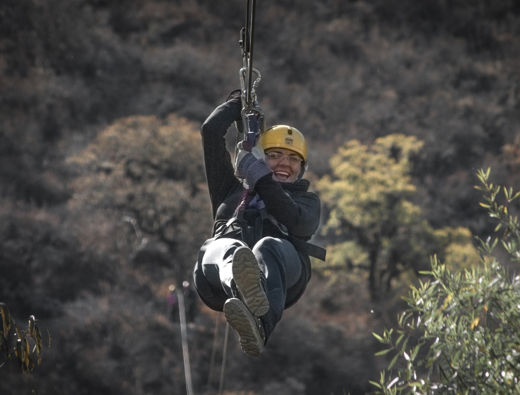 Wildfloc Zipline